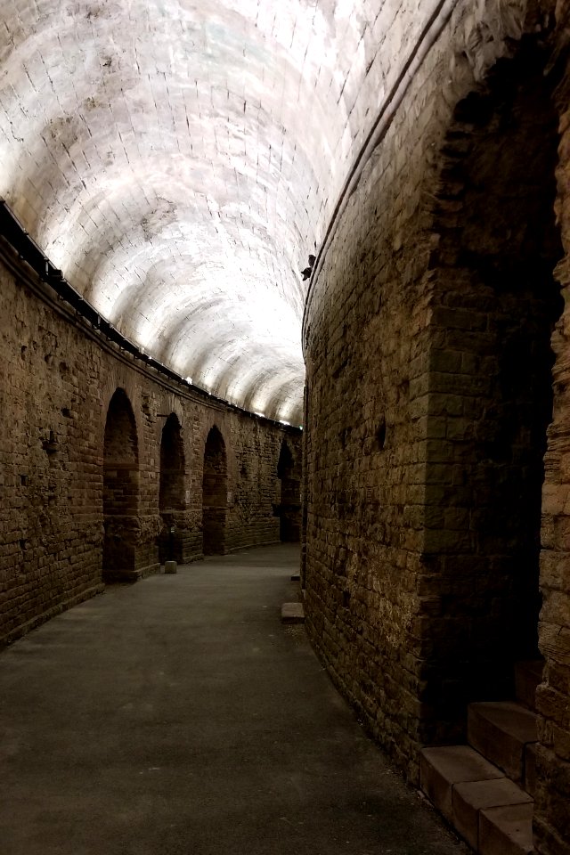 Amphithéâtre de Fréjus 01 20180831
