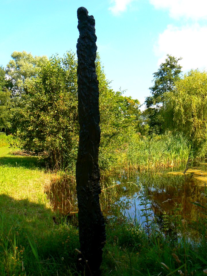 Amsterdam Siegerpark Hunt 01