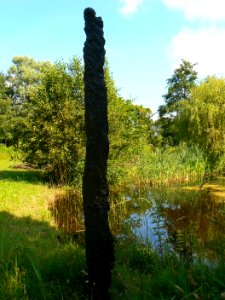 Amsterdam Siegerpark Hunt 01