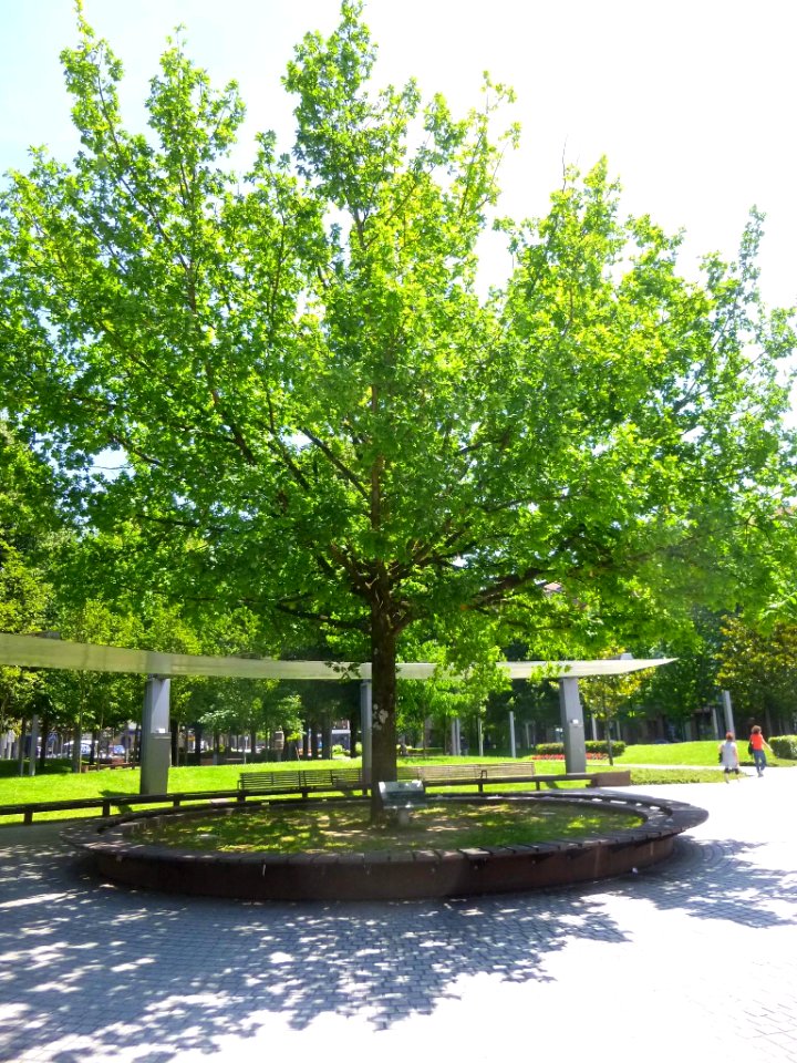 Amorebieta - Parque Zelaieta, Memorial en recuerdo de las víctimas de la Guerra Civil 1