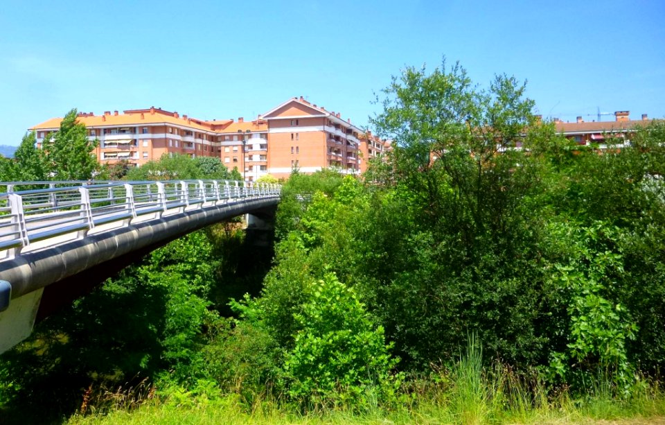 Amorebieta 50