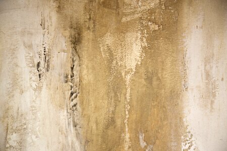 Paint design creative