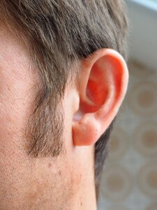 Human auricle sensory organ