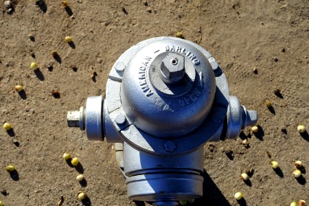American-Darling fire hydrant - Tucson, Arizona - DSC08418
