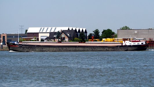 Amorsita - ENI 06003456, Nieuwe Maas