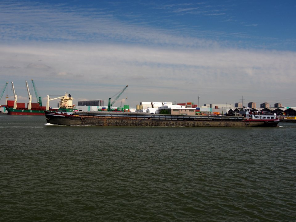 Amphora - ENI 02103072, Port of Antwerp