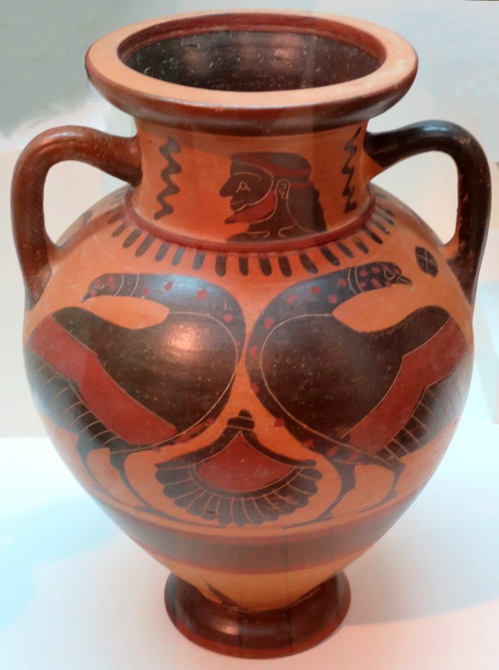 Amphora by the Painter of the Louvre, Greece, c. 560-550 BCE, Lowe Art Museum