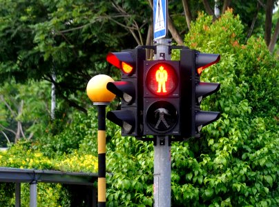 Ampel-Singapur-02-fws