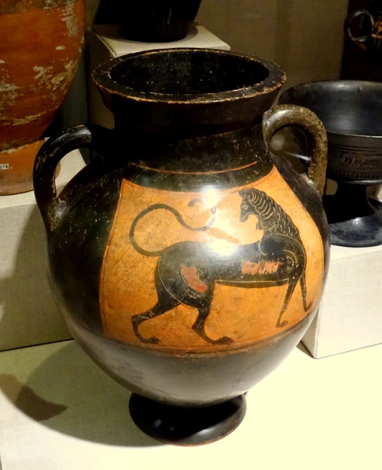 Amphora depicting a lion, Attic black figure, c. 570 BC, terracotta - Spurlock Museum, UIUC - DSC05902