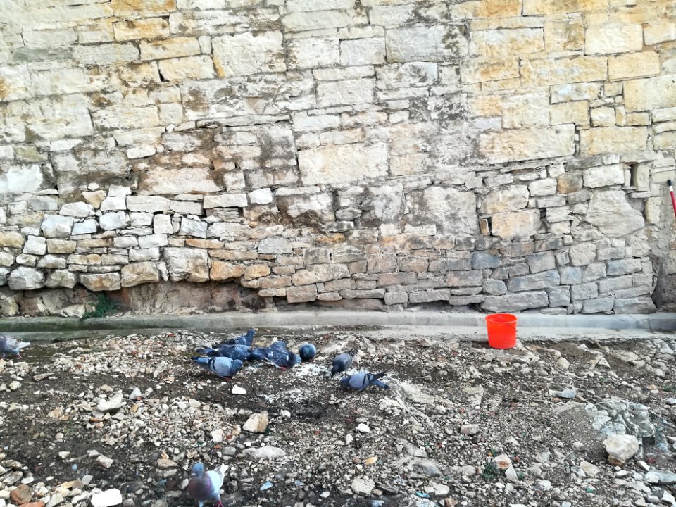 Amphitheatre (Pula), interior 90