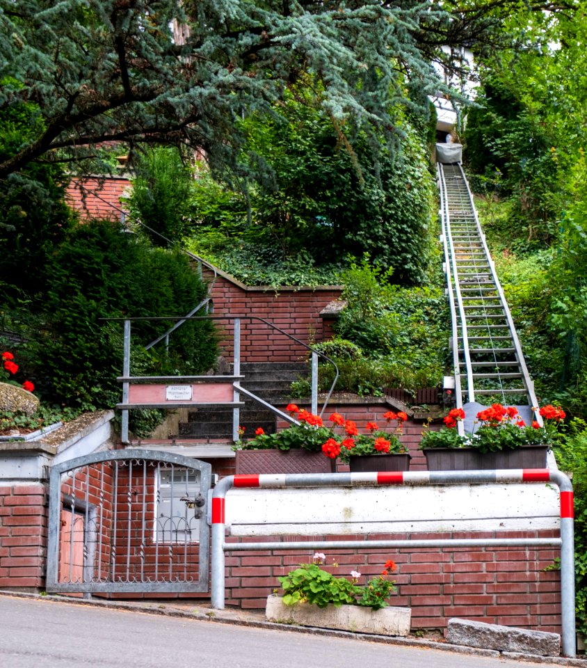 Ansichten der Hundskapfklinge in Tübingen 08