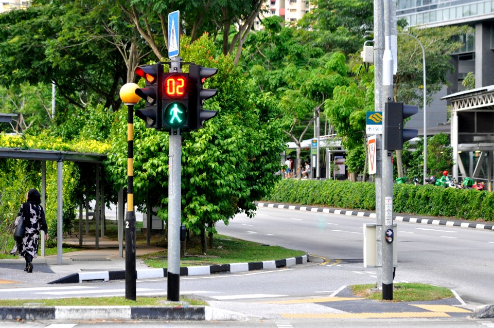 Ampel-Singapur-01-fws