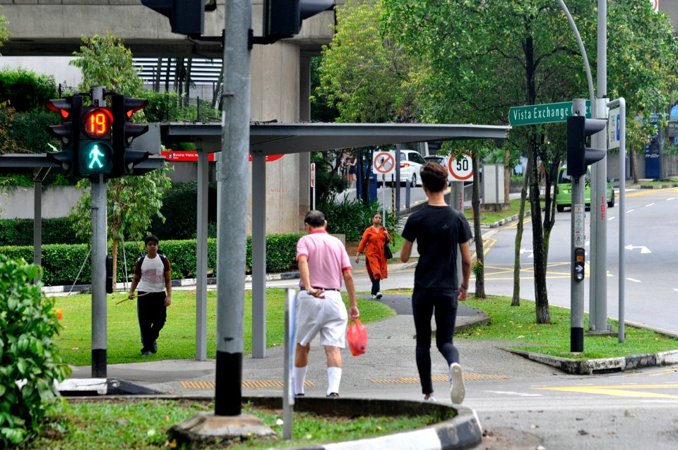 Ampel-Singapur-07-fws
