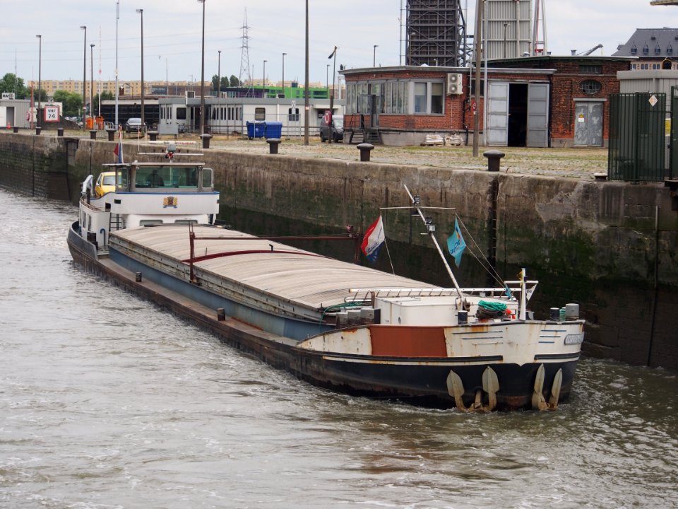 Amore-Vici - ENI 03310500, leaving Royerssluis, Port of Antwerp pic1