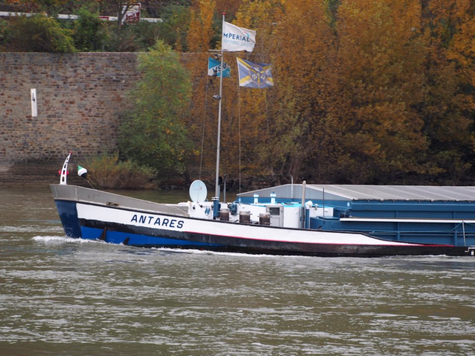 Antares, ENI 04024640 on the Rhine river between Koblenz and the Loreley, pic3