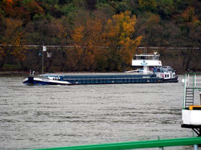 Antares, ENI 04024640 on the Rhine river between Koblenz and the Loreley, pic1