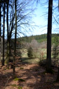 Anspach, Weihergrund von Anspach (3)