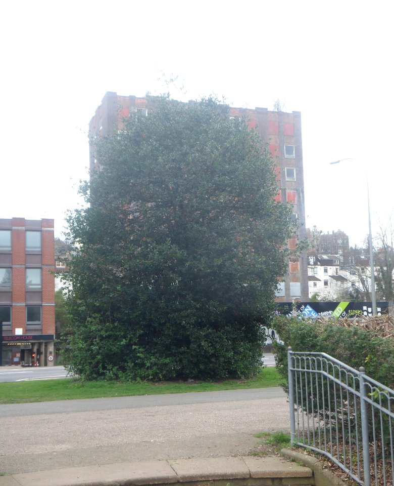 Anston House, 137–139 Preston Road, Brighton (March 2019) (1)