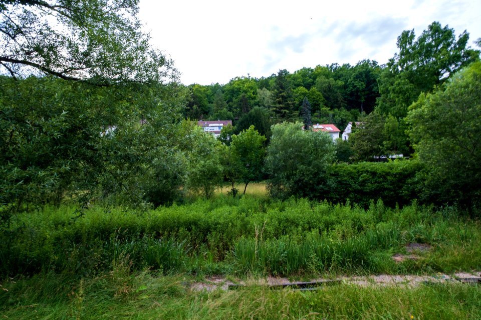 Ansichten der Gartenstraße in Tübingen 33