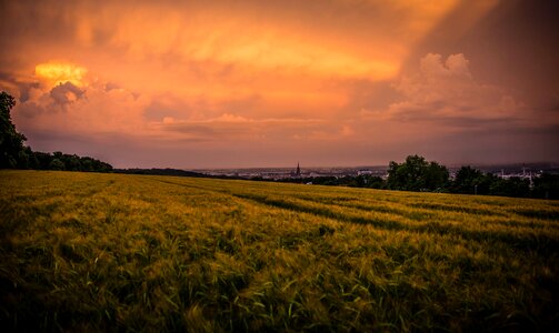 Cultivated land daylight farm