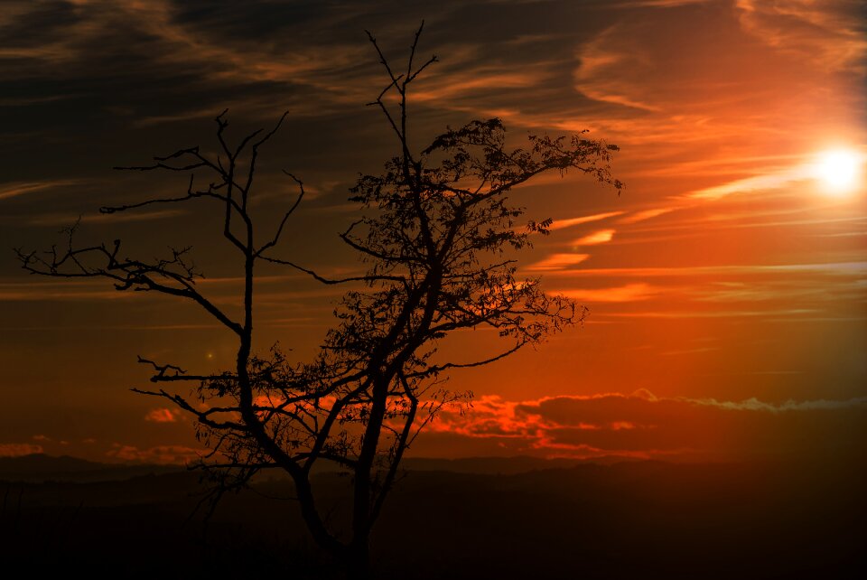 Sunset abendstimmung backlighting
