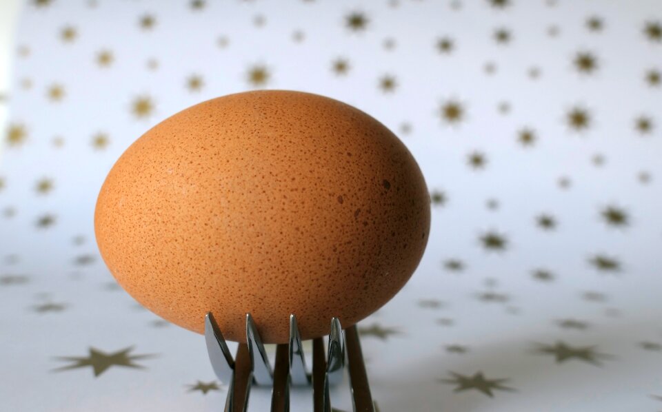 Food origin of life nutrition