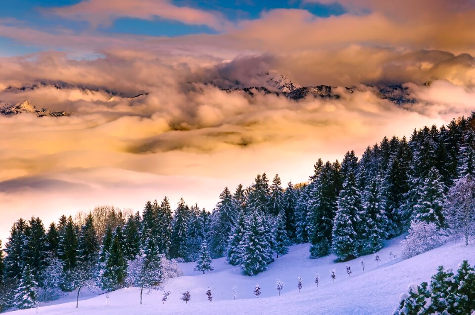Scenic nature outdoors