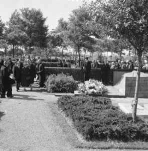 Anna Blaman begraven, Bestanddeelnr 911-4310