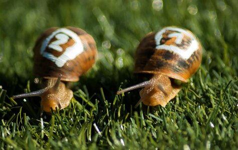 Shell competition slow photo