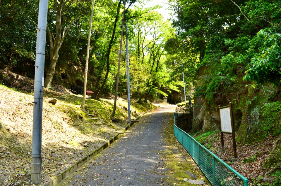 Anpukuji Yokoana Group-1