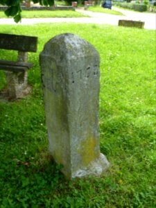 Anthisnes-tilleul des Floxhes (5)