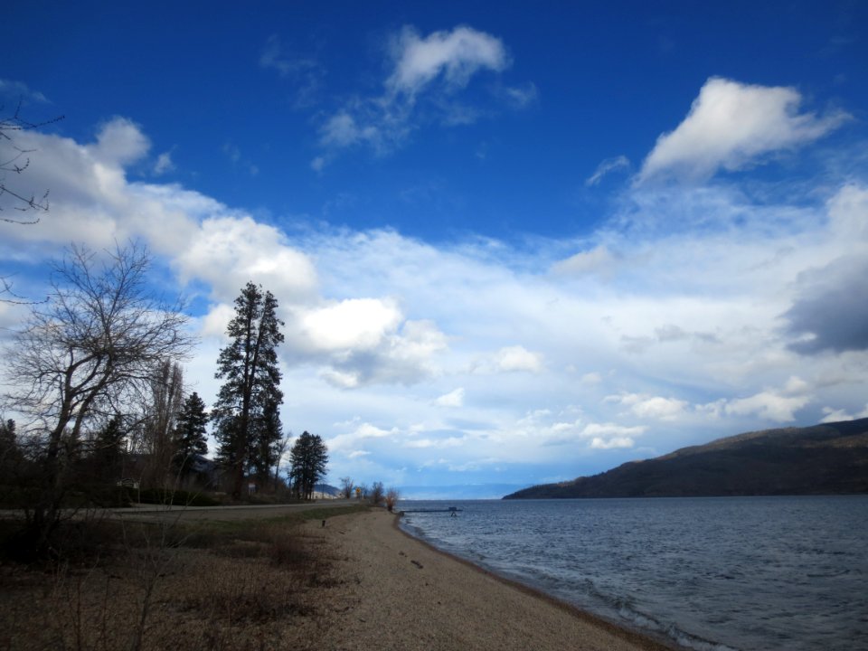 Antlers Beach Regional Park in Late Winter