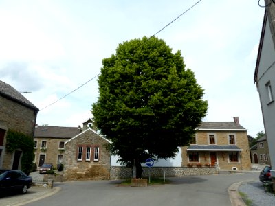 Anthisnes-Limont-Tilleul (2)
