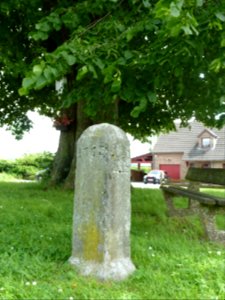 Anthisnes-tilleul des Floxhes (4)