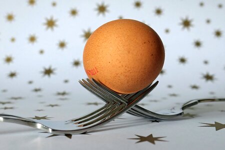 Food origin of life nutrition