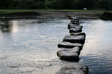 Water path nature photo