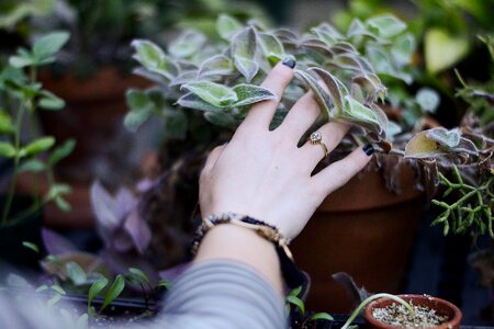 Garden hand leaves