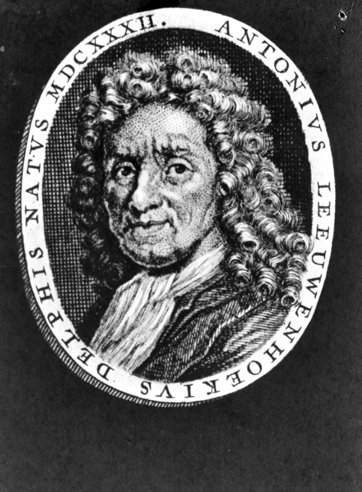 Antoni van Leeuwenhoek (1632-1723), bioloog, Bestanddeelnr 935-0856
