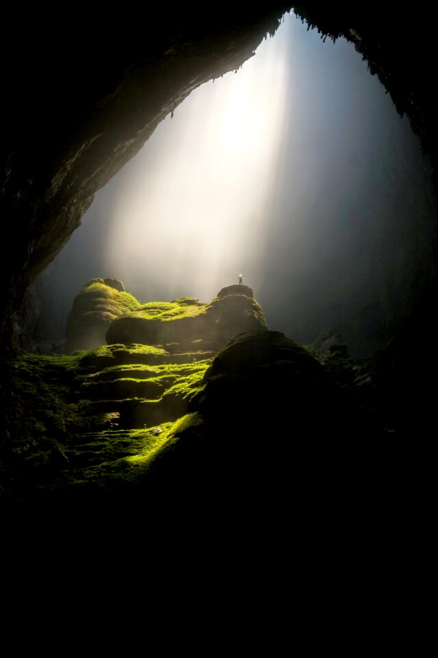 Daylight landscape moss