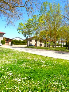 Antezana 10
