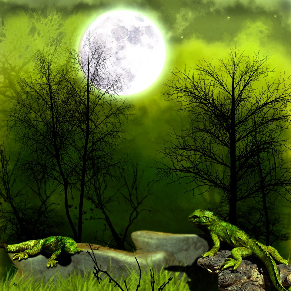 Art photoshop exotic