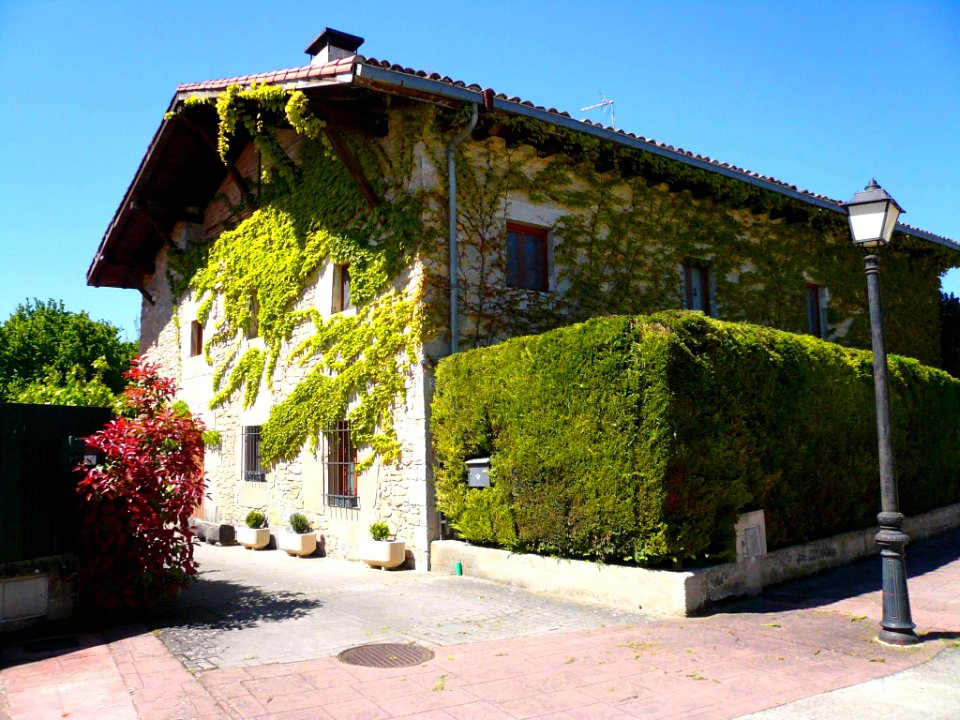 Antezana 11