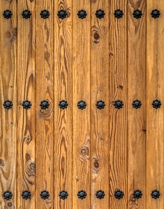 A straight line wood annual zone