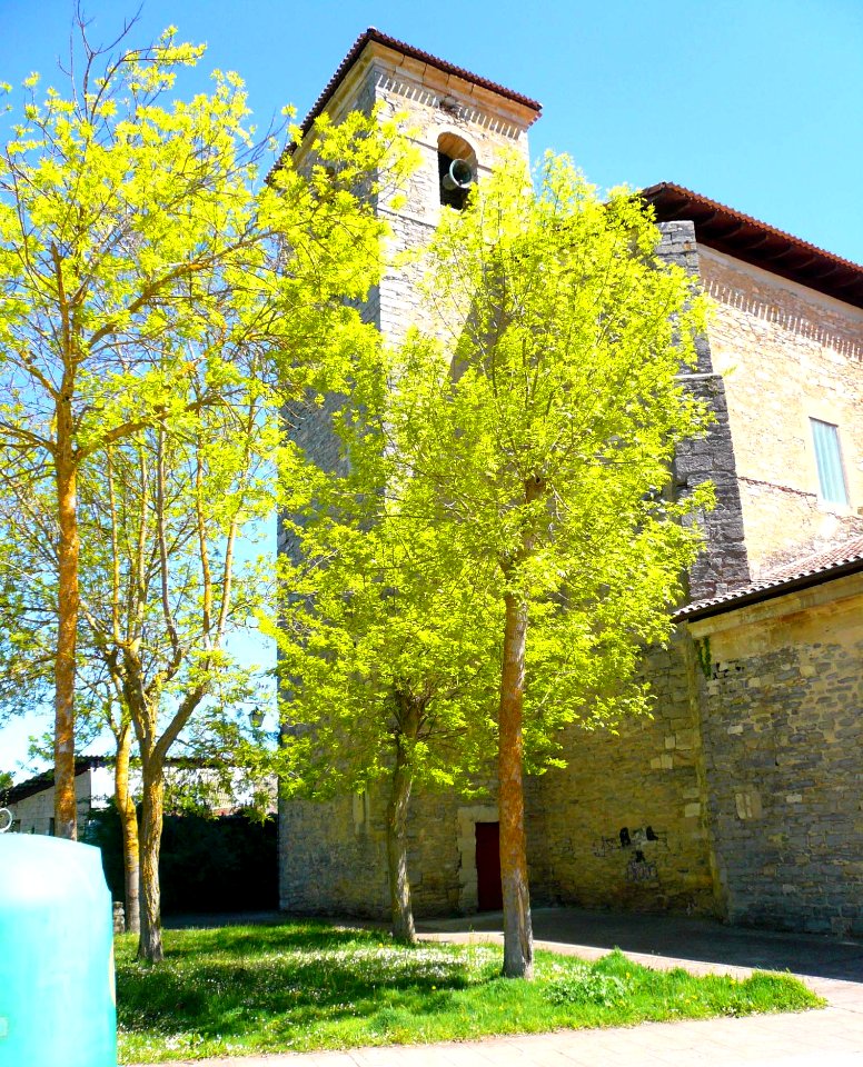 Antezana - Iglesia de San Miguel Arcángel 03