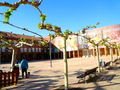 Andosilla - Plaza San Cosme y San Damián 1
