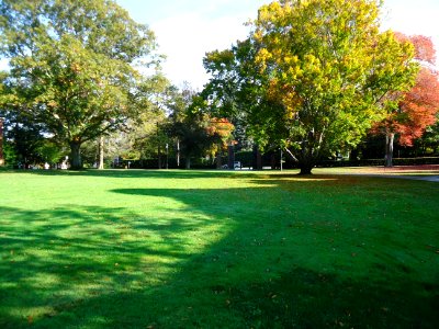 Andover Massachusetts Phillips Academy Abbot campus green around circle