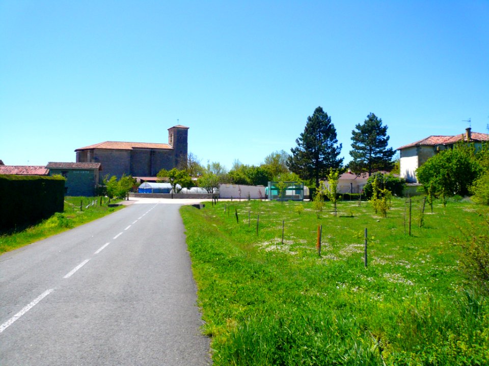Antezana 35