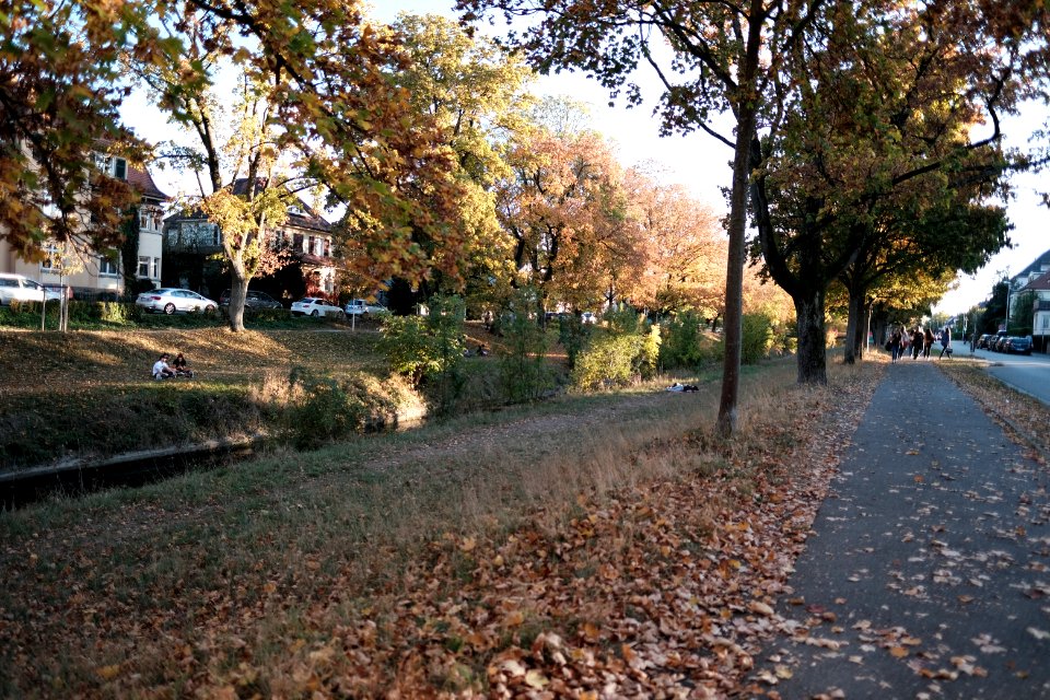 An-der-steinlach-2