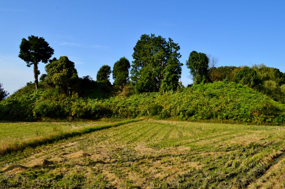 Andon-yama Kofun, baicho-3