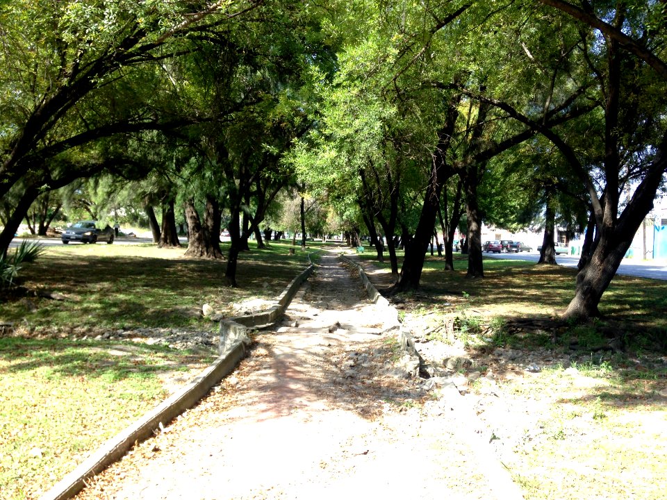 Andador Avenida Fidel Velazquez Cd Victoria